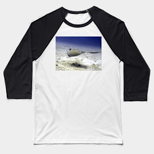 Sting Ray at Play Baseball T-Shirt